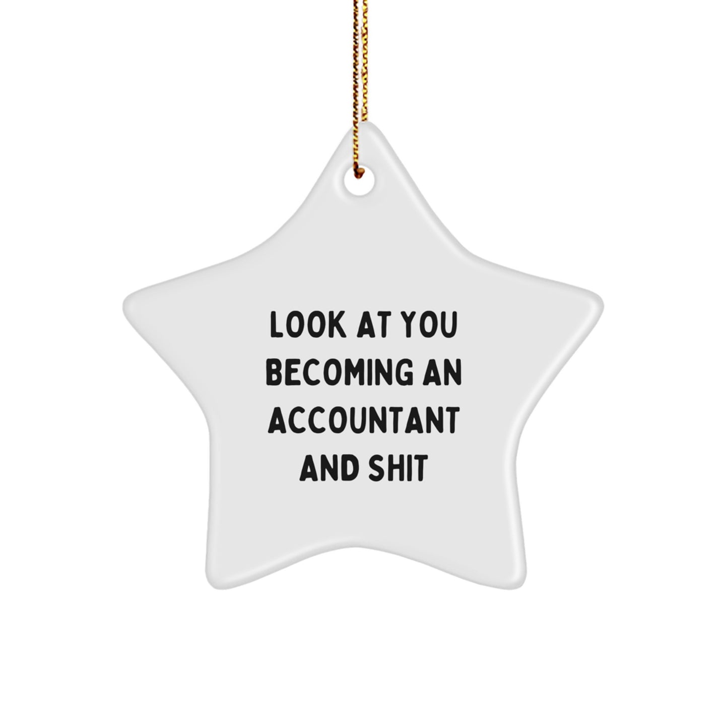 Christmas Gift for Her Accountant Star Ornament Present - Image 1