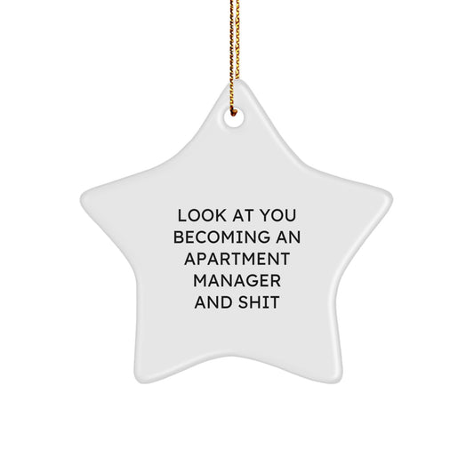 Funny Apartment Manager Gifts from Friends, Star Ornament for Apartment Manager Men Women, Christmas Unique Gifts for Apartment Manager - Image 1
