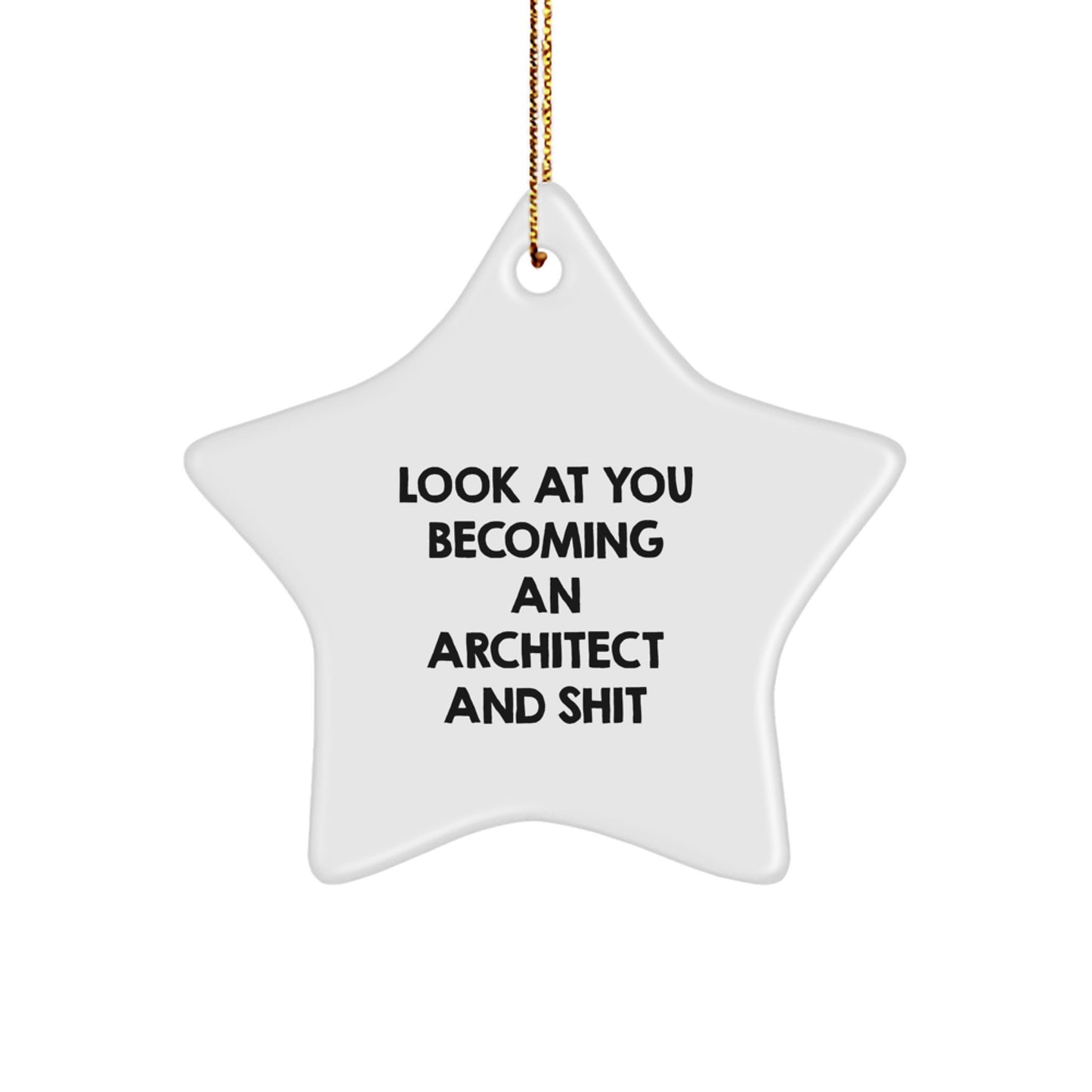 Architect Gifts from Friends - Unique Star Ornament for Men, Women, and Coworkers - Inspirational Look at You Becoming an Star - Image 1