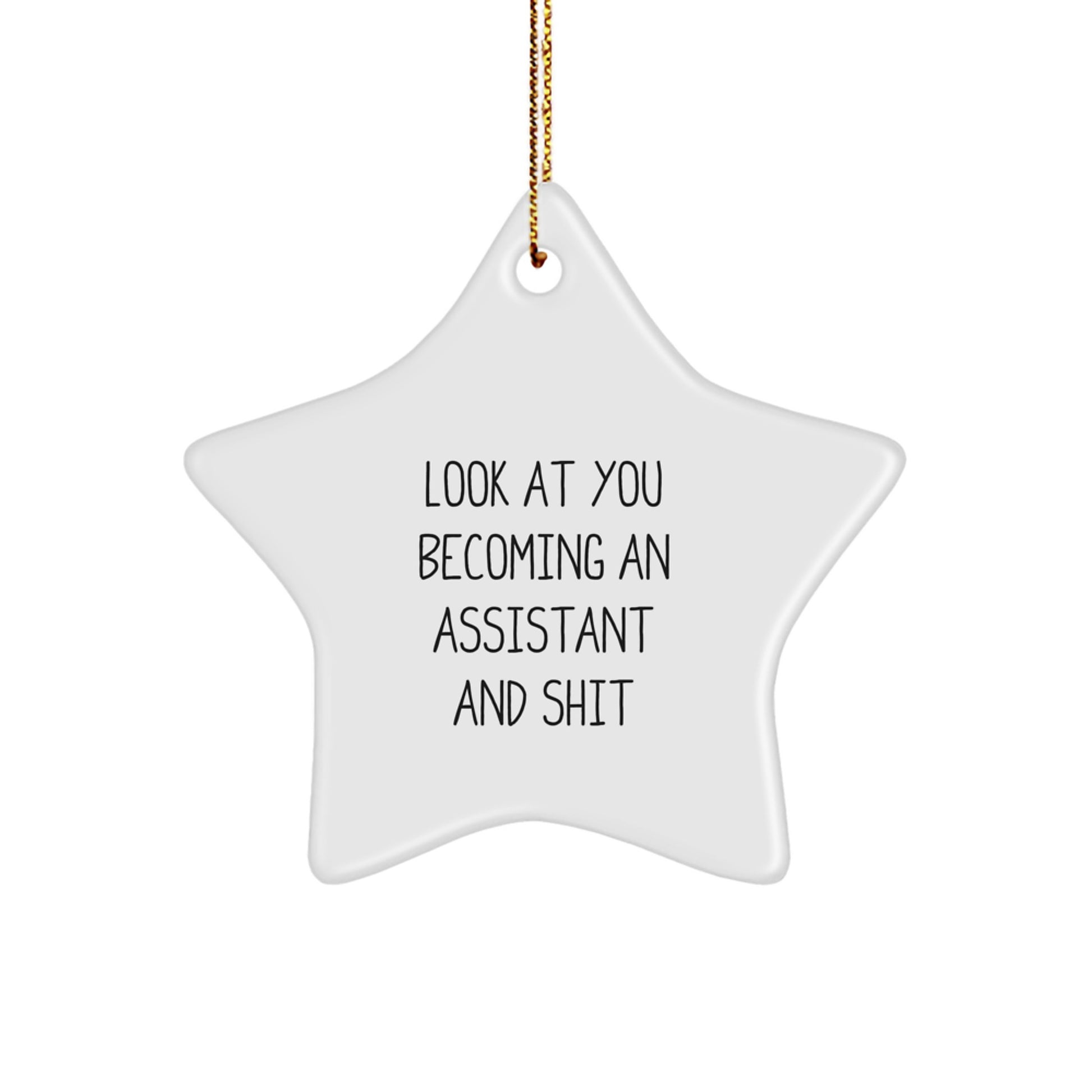 Funny Assistant Gifts for Christmas, Star Ornament Look At You Becoming An Assistant And Shit, Gifts from Family to Assistant - Image 1