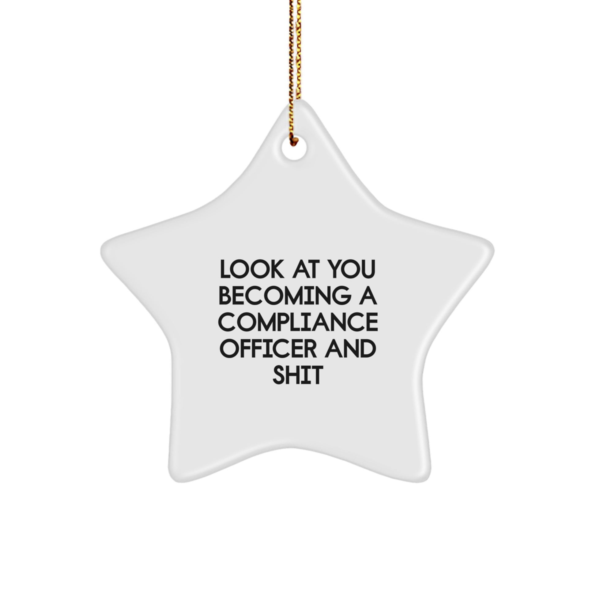 Funny Compliance Officer Star Ornament Gifts for Compliance Officer Men Christmas Unique Star Decoration - Image 1