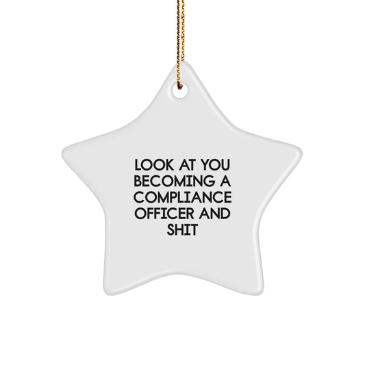 Funny Compliance Officer Star Ornament Gifts for Compliance Officer Men Christmas Unique Star Decoration - Image 1