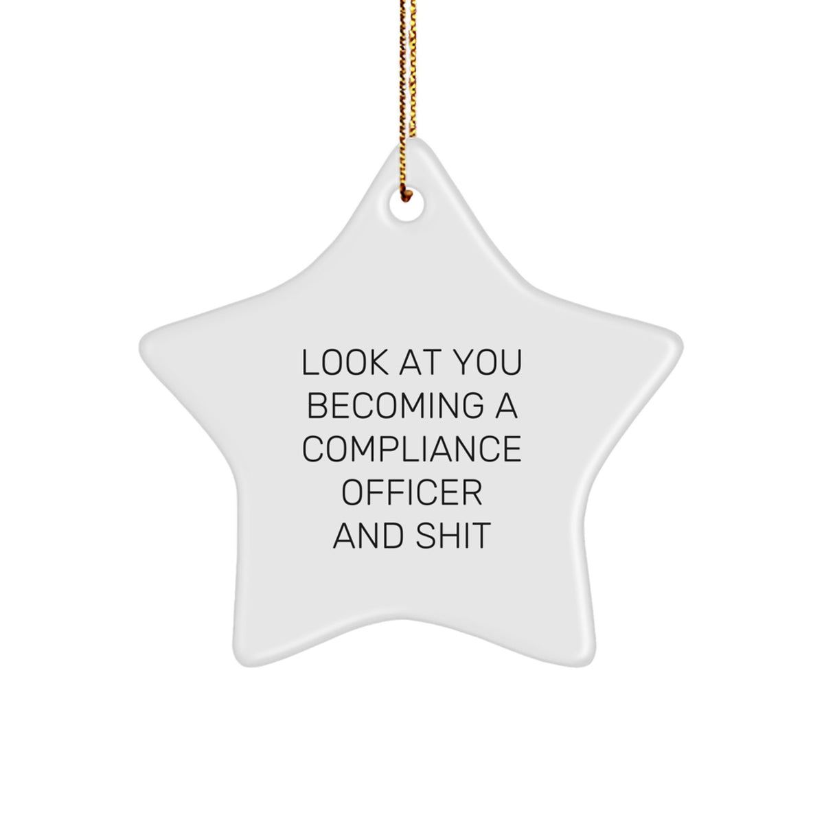 Christmas Look At You Gift for Her Compliance Officer Star Ornament - Image 1