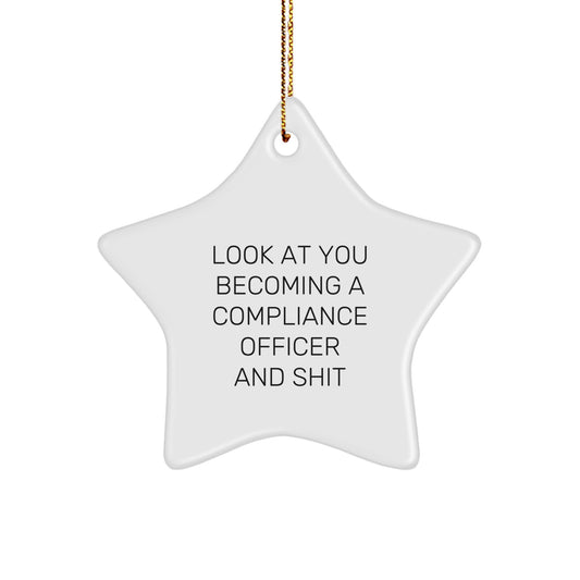 Christmas Look At You Gift for Her Compliance Officer Star Ornament - Image 1