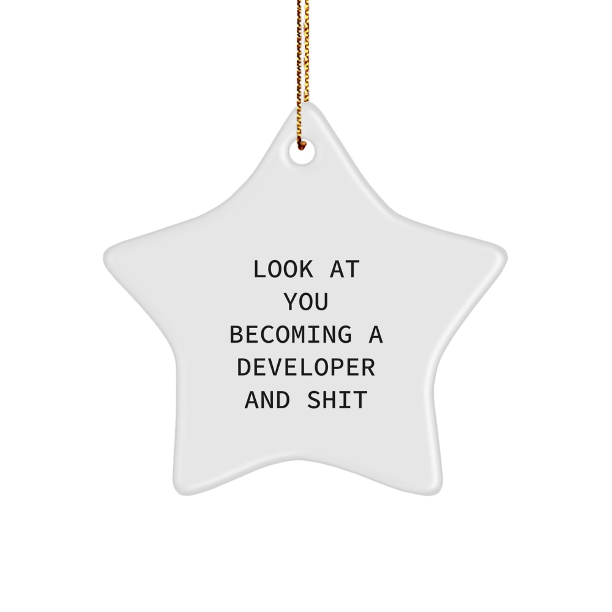 Funny Developer Gifts for Men, Women, Coworkers - Star Ornament Look At You Becoming A Developer And Shit, Christmas Unique Decorations - Image 1