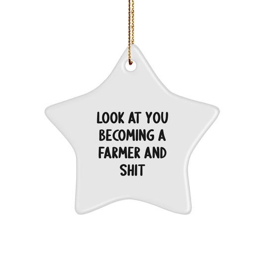 Funny Farmer Star Ornament Gifts from Friends for Farmer - Christmas Unique Gifts - Image 1