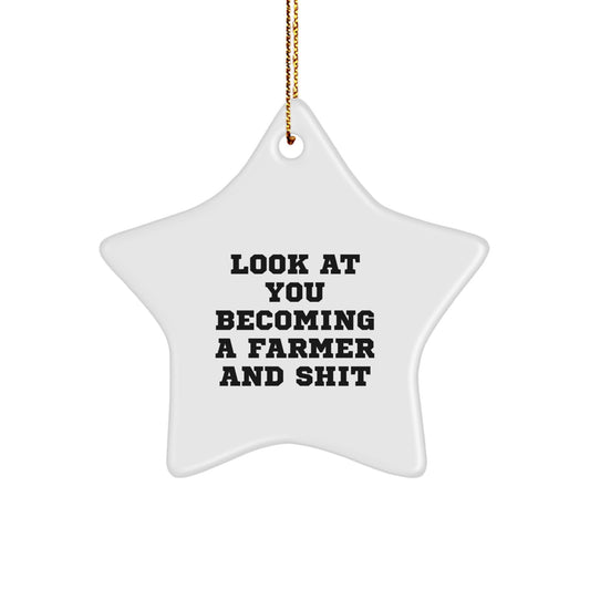 Funny Gifts from Friends for Farmer Unique Star Ornament, Christmas Decorations, Star Shaped, White Color, Inspirational Quote for Men, Women, Family - Image 1