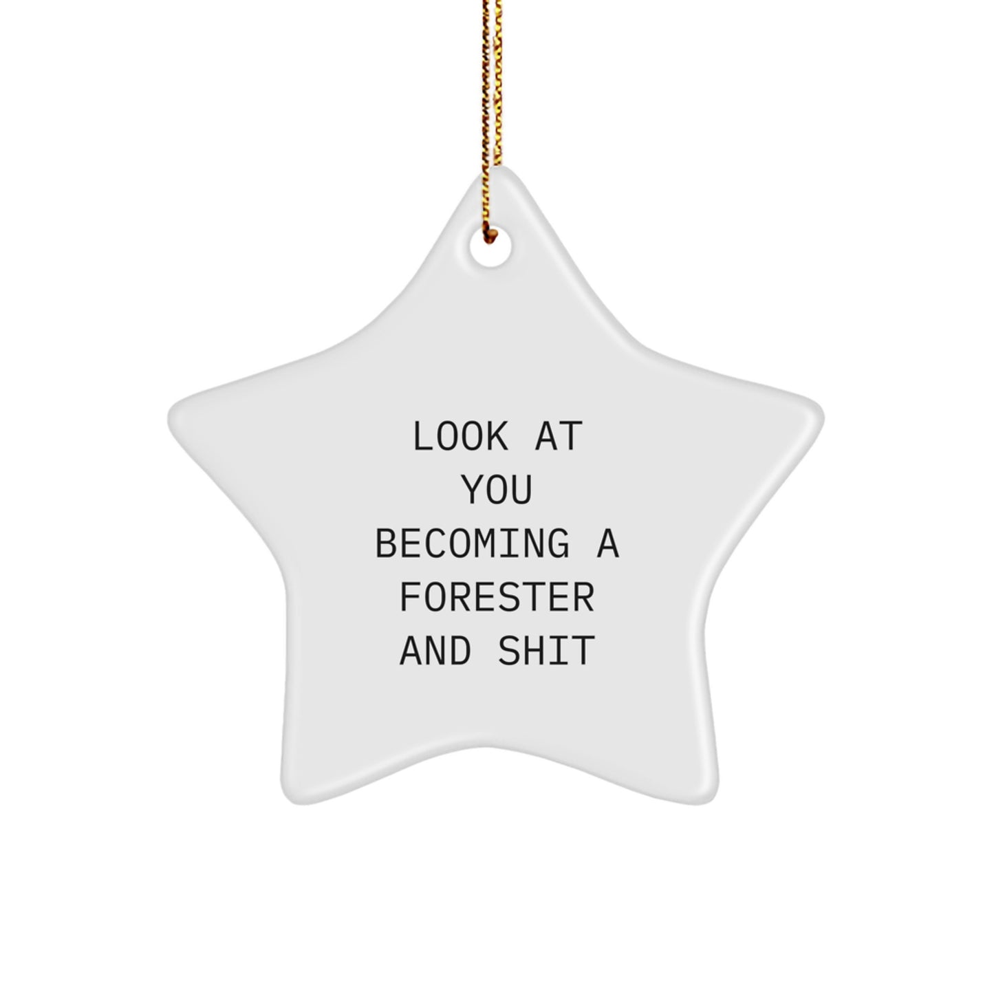 Funny Forester Gifts from Men to Forester Friends - Star Ornament Christmas Unique Gifts for Forester Men, Women, and Family - Image 1