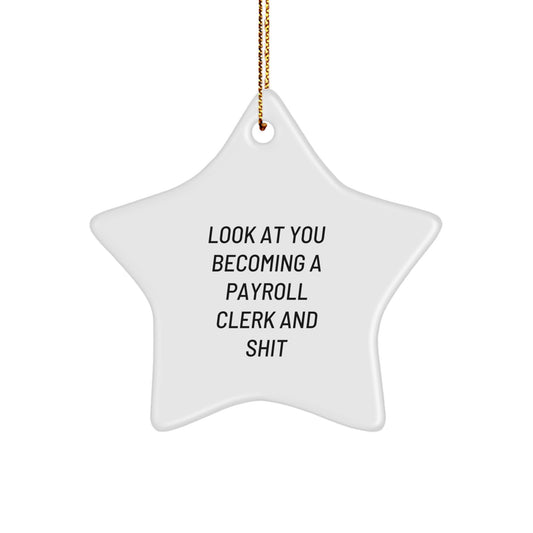 Funny Payroll Clerk Star Ornament Gifts from Friends and Family for Christmas Unique Gifts - Image 1