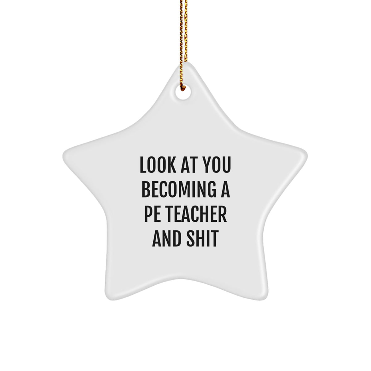 PE Teacher Keepsake Christmas Ornament for Him Gift - Star Holiday Tree - Image 1