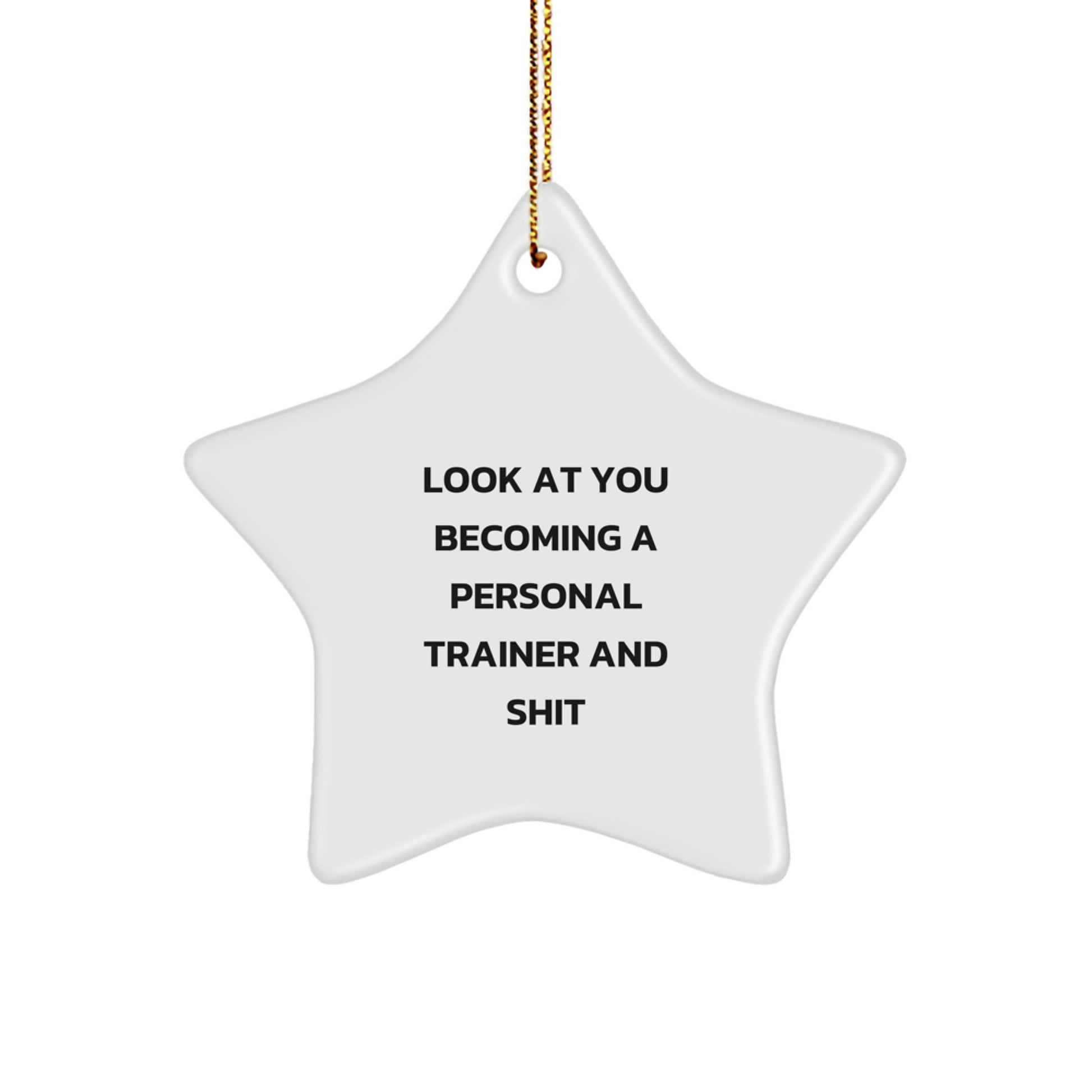 Funny Personal Trainer Star Ornament Gifts from Dad for Christmas - 'Look At You Becoming A Personal Trainer And Shit' Star Shaped Decorative - Image 1