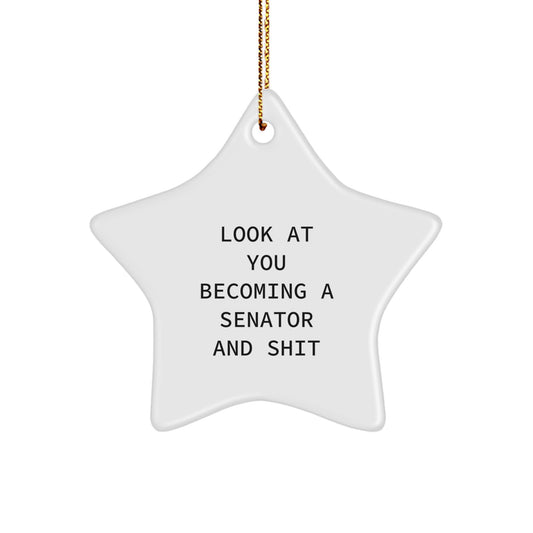 Senator Star Ornament, Funny Quote Gifts for Senator, Christmas Unique Gifts from Friends, Family, or Coworkers - Image 1