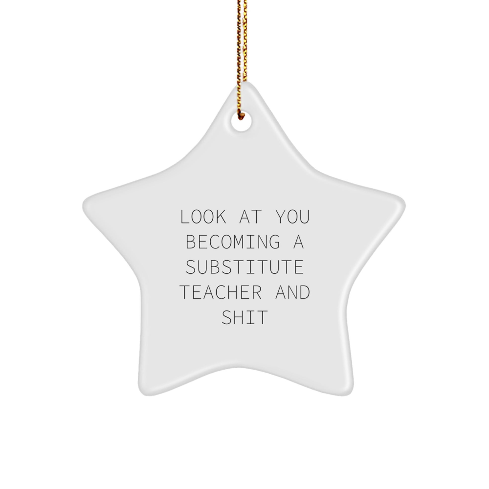 Funny Substitute Teacher Star Ornament - Gifts from Friends for Christmas Unique Gifts - 'Look At You Becoming A Substitute Teacher And Shit' - Image 1