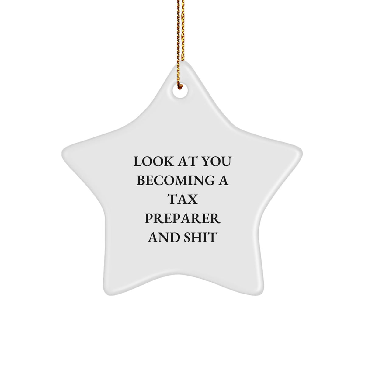 Christmas Surprise Gift for Her Tax Preparer Star Ornament Present - Image 1