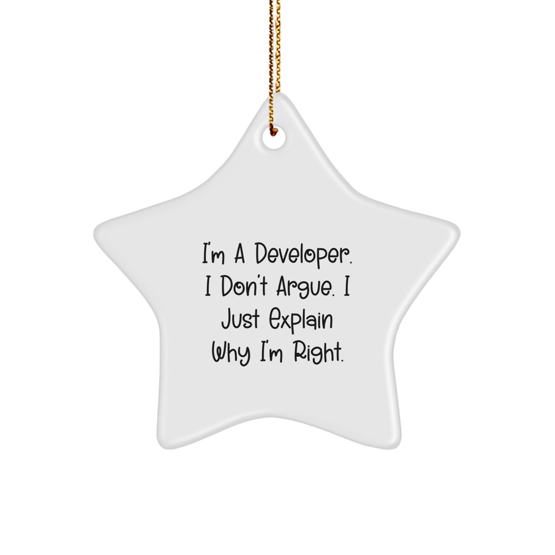 Funny Developer Gifts from Friends Christmas Star Ornament for Men Women Coworkers Family Quotes I'm A Developer I Don't Argue I Just Explain Why I'm Right. - Image 1