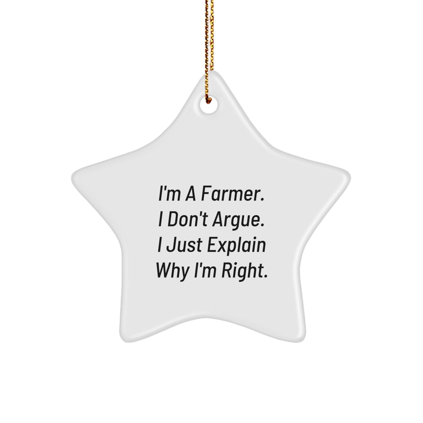 Favorite Farmer Star Ornament for Kids Humorous Christmas Gift - Image 1