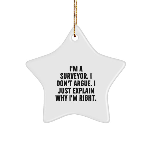 Funny Surveyor Gifts for Men, Unique Christmas Star Ornament with I'm A Surveyor I Don't Argue I Just Explain Why I'm Right, Gifts from Men to Surveyor Friends - Image 1