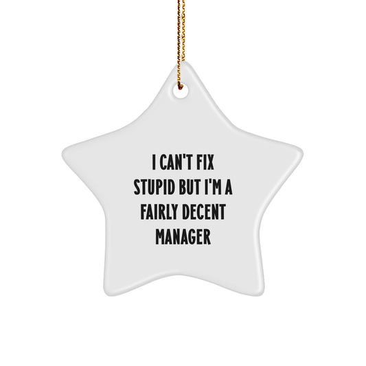 Funny Manager Star Ornament, Gifts from Friends, Christmas Unique Gifts for Men, Women, Coworkers, Family - 'I Can't Fix Stupid But I'm A Fairly Decent Manager' Star Decoration - Image 1