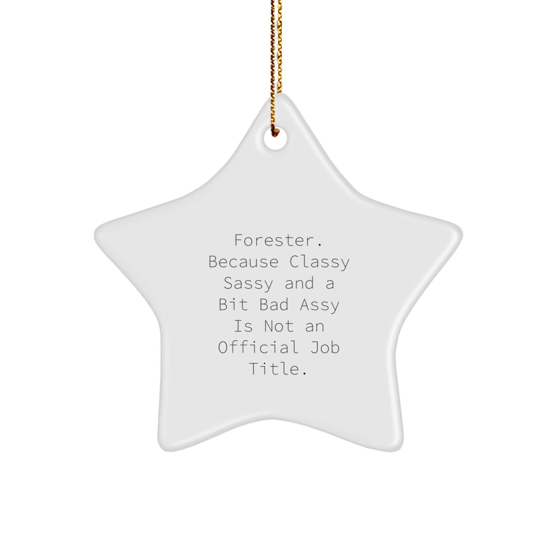Forester Classy Sassy Star Ornament Gifts from Friends for Christmas Decoration - Image 1