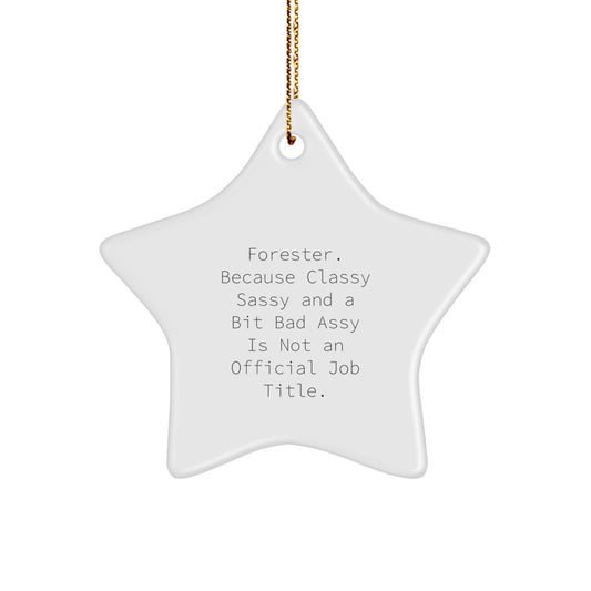 Forester Classy Sassy Star Ornament Gifts from Friends for Christmas Decoration - Image 1