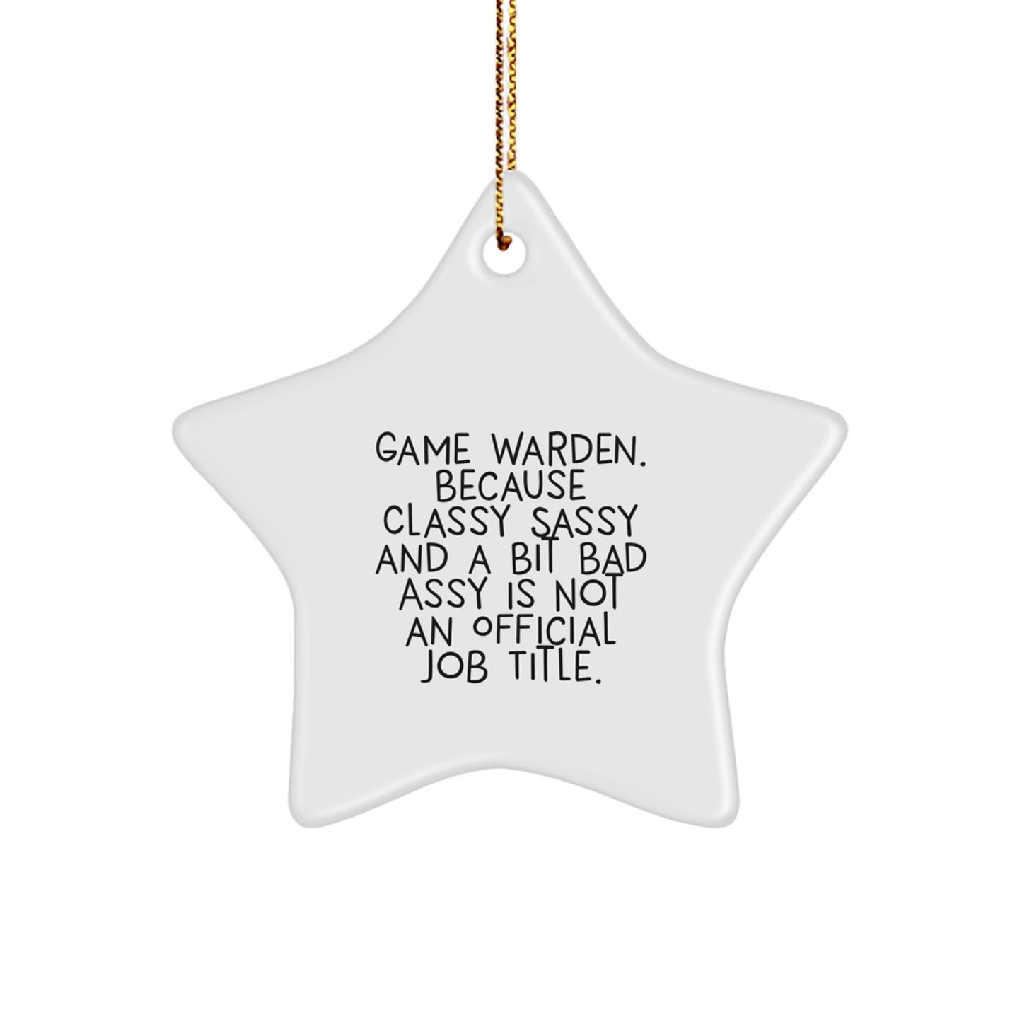 Game Warden Gifts from Friends and Family - Funny Star Ornament, 'Because Classy Sassy And A Bit Fearlessy Is Not An Official Job Title.' - Image 1