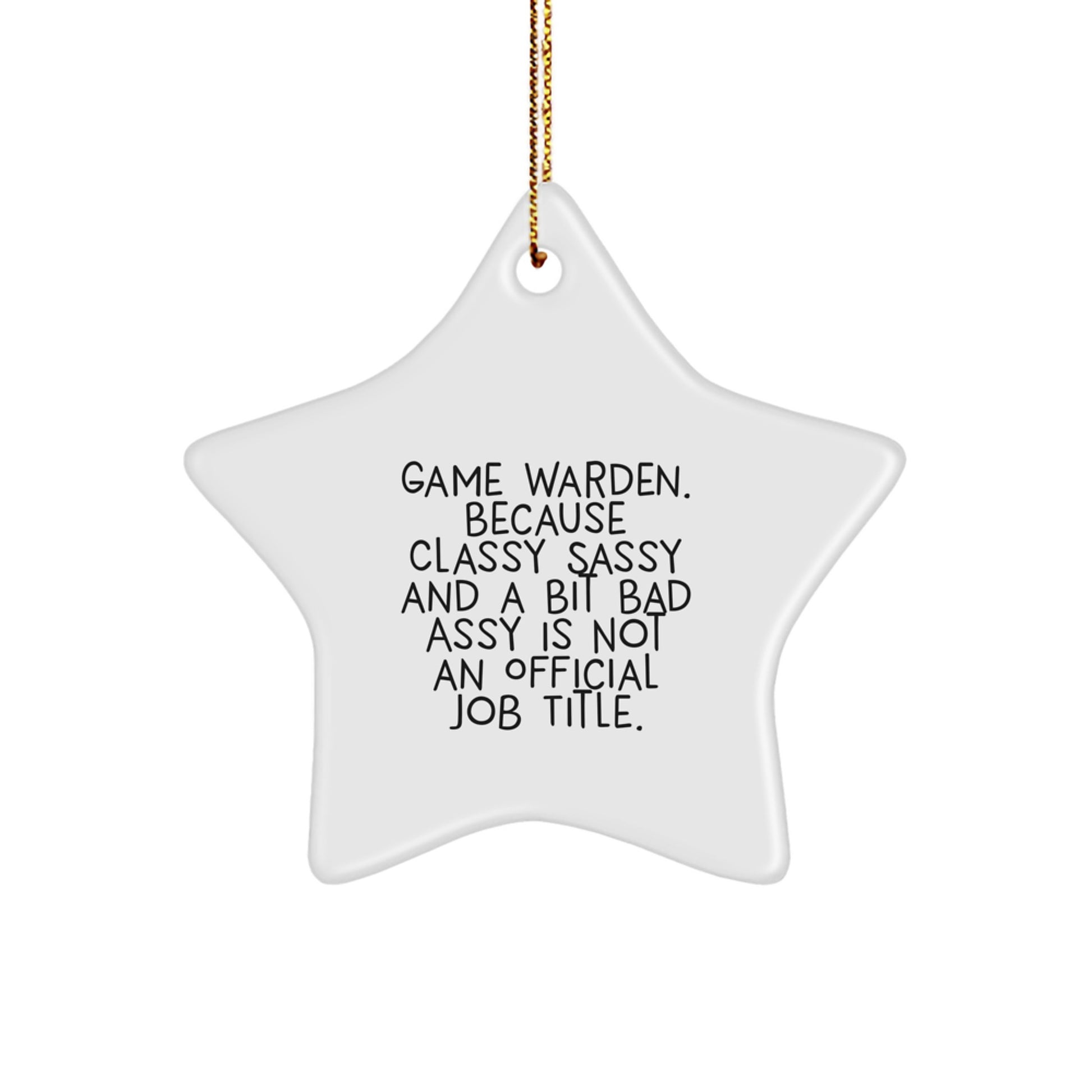 Game Warden Gifts from Friends and Family - Funny Star Ornament, 'Because Classy Sassy And A Bit Fearlessy Is Not An Official Job Title.' - Image 1