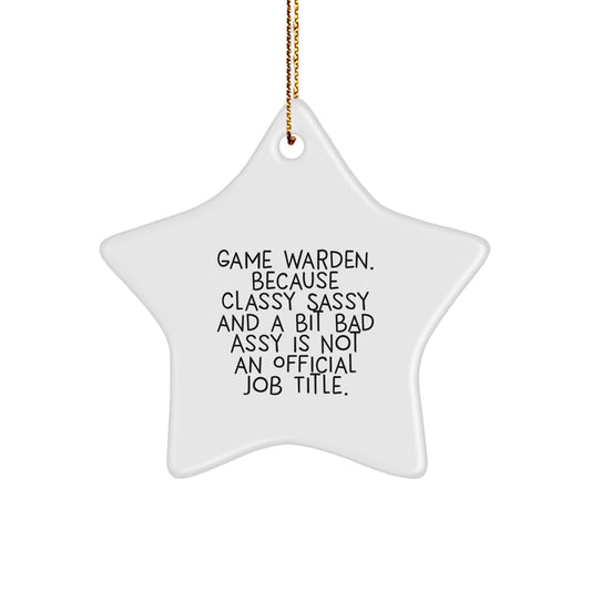 Game Warden Gifts from Friends and Family - Funny Star Ornament, 'Because Classy Sassy And A Bit Fearlessy Is Not An Official Job Title.' - Image 1