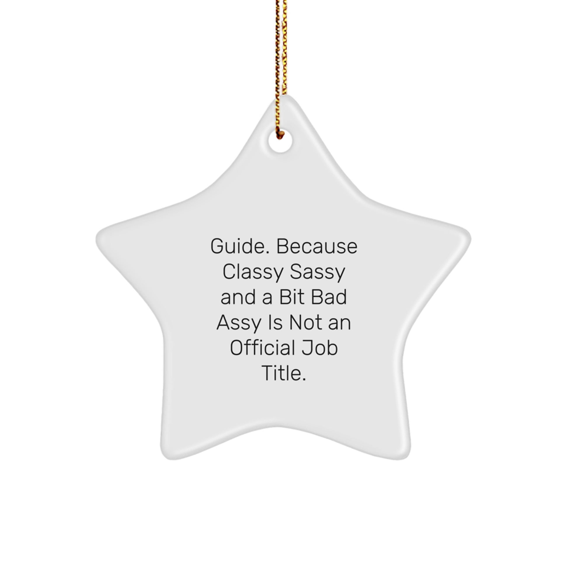Funny Guide Christmas Unique Gifts, Star Ornament with Inspirational Quote, Perfect for Guide Women Friends, Gifts from Men to Guide Family Members - Image 1