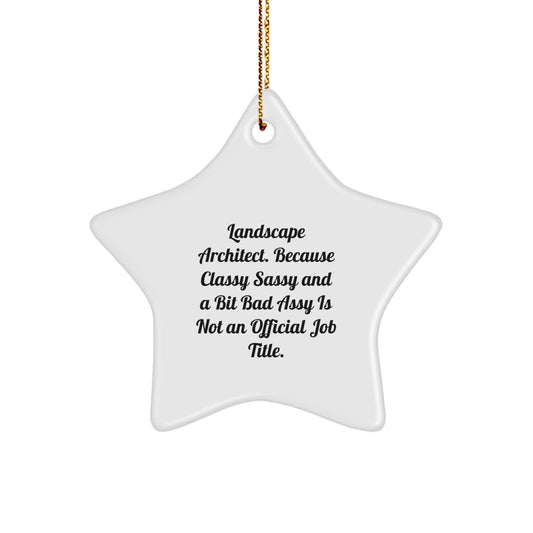 Funny Quotes Star Ornament Gift for Landscape Architect Friends, Unique Christmas Star Decoration, Star Ornament Gifts from Friends for Landscape Architect Coworkers - Image 1