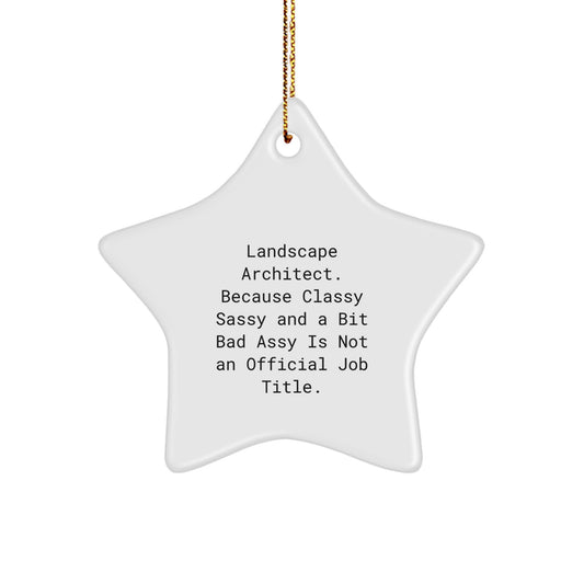 Funny Quotes for Landscape Architect, Unique Christmas Star Ornament Gifts from Friends for Landscape Architect Decor - Image 1