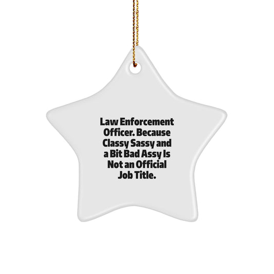 Funny Law Enforcement Officer Gifts for Men, Humorous Star Ornament for Christmas Unique Gifts, Law Enforcement Officer Appreciation Gifts from Friends - Image 1