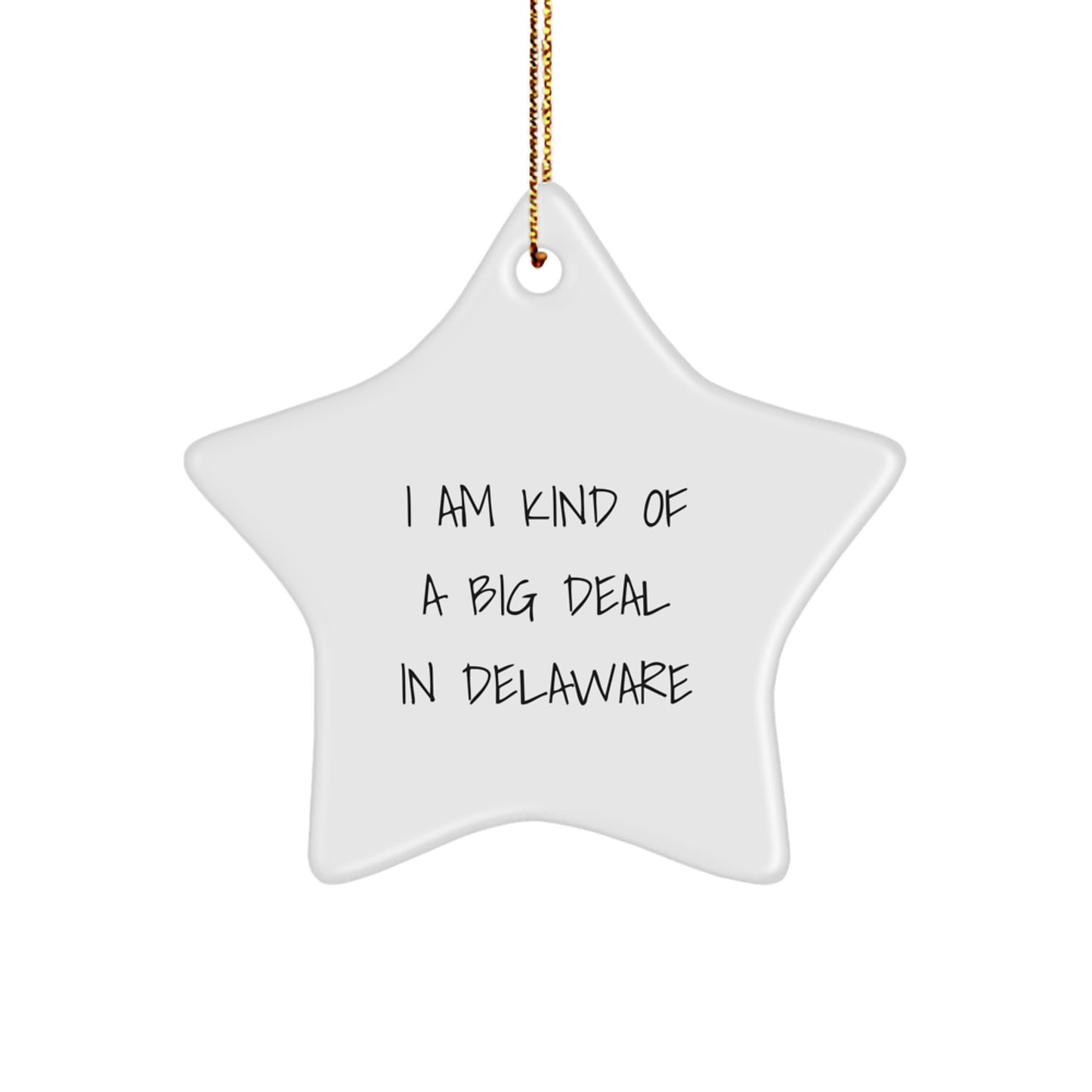 Funny Delaware Star Ornament Gifts from Men to Women Friends Coworkers Family with I Am Kind Of A Prime Selection In Delaware Quote, White Star Shaped Christmas Decorations - Image 1