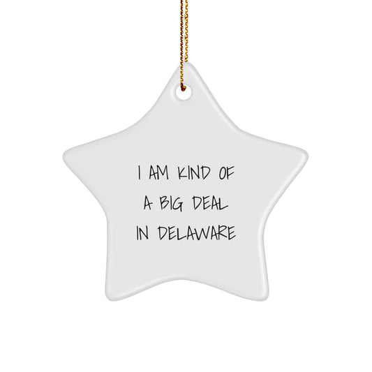 Funny Delaware Star Ornament Gifts from Men to Women Friends Coworkers Family with I Am Kind Of A Prime Selection In Delaware Quote, White Star Shaped Christmas Decorations - Image 1