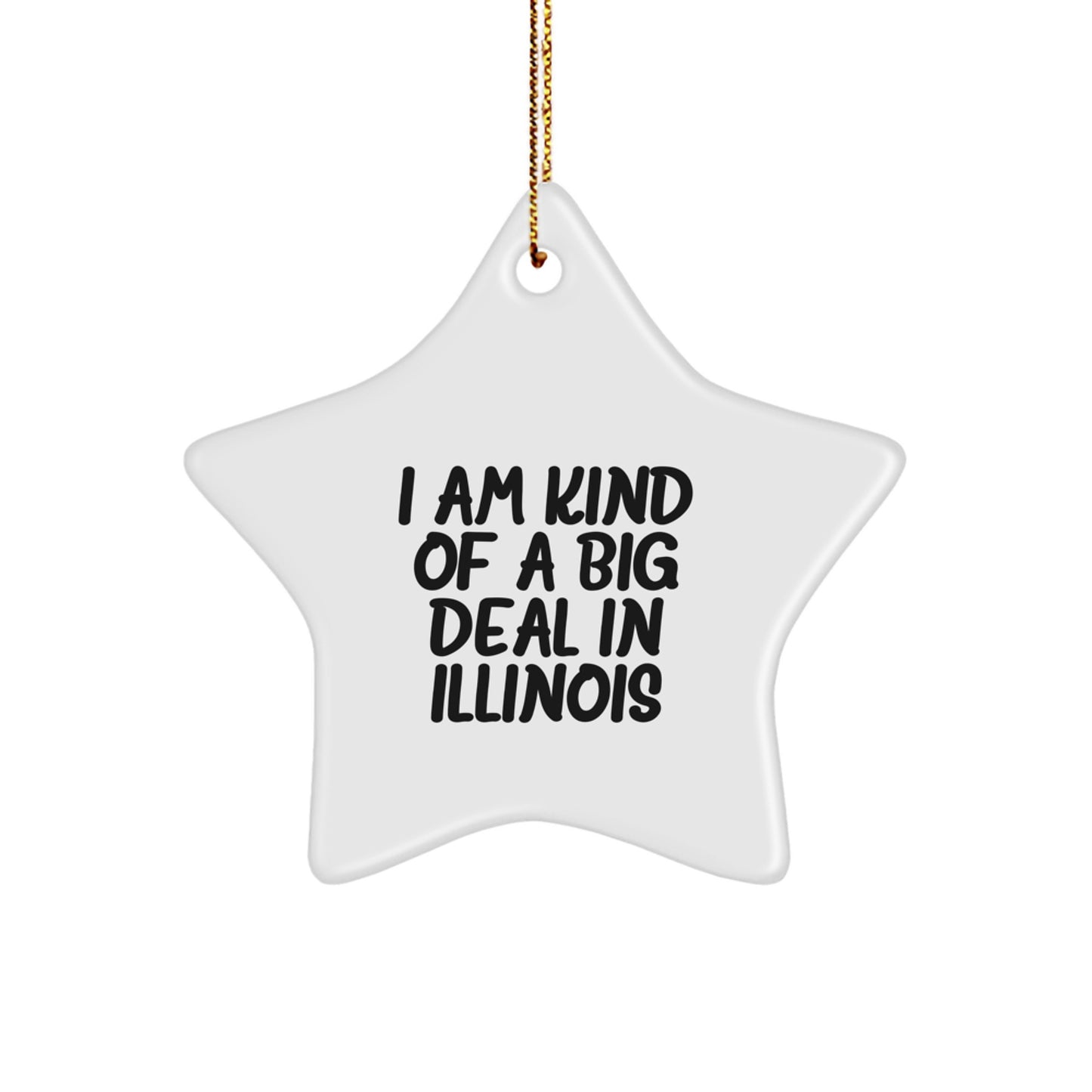 Funny Star Ornament Gifts from Illinois for Illinois Men Women Friends and Family Christmas Unique Gifts - Image 1