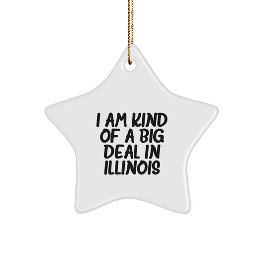 Funny Star Ornament Gifts from Illinois for Illinois Men Women Friends and Family Christmas Unique Gifts - Image 1