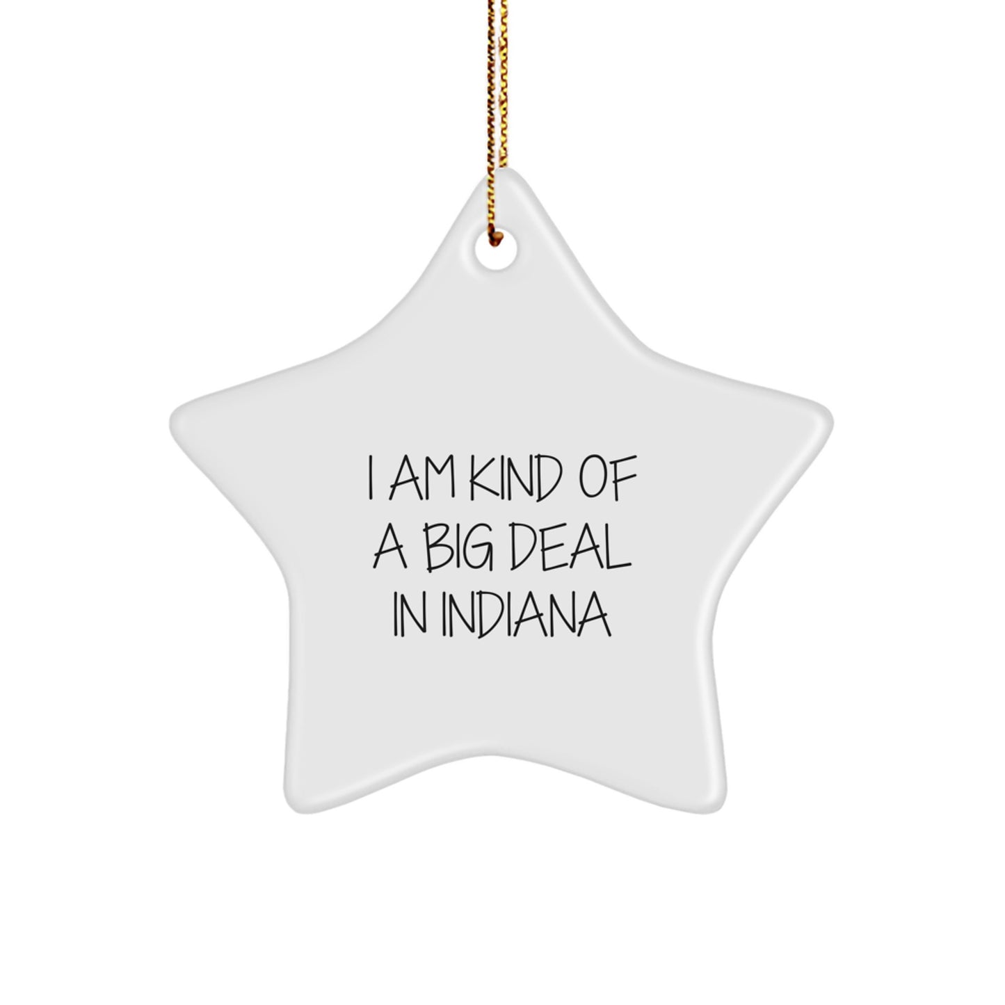 Funny Quotes Star Ornament Gifts for Indiana Lovers, Unique Indiana Star Ornament, Gifts from Men to Women in Indiana, I Am Kind Of A Prime Selection In Indiana Star Decoration for Christmas - Image 1