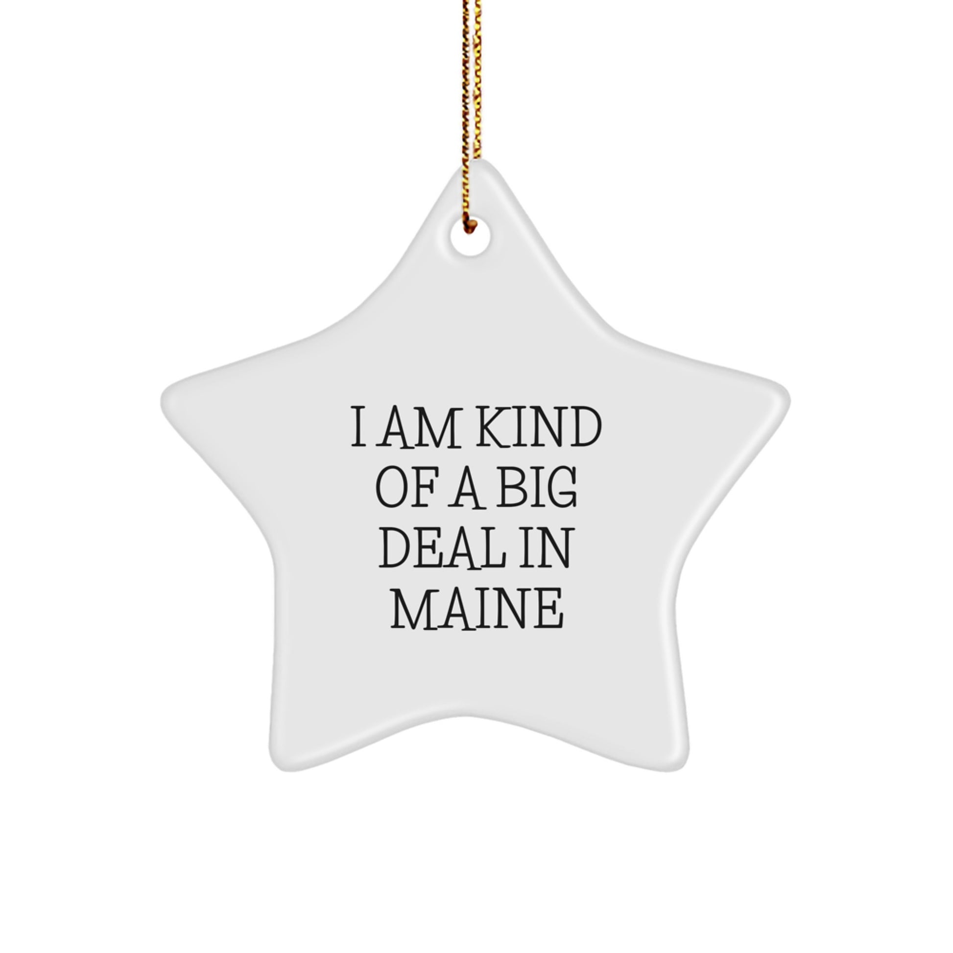 Maine Playful Novelty Star Ornament for Friends Christmas Gift - Image 1