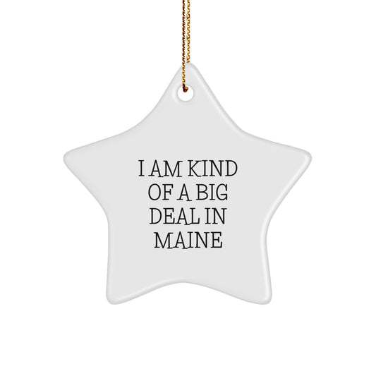 Maine Playful Novelty Star Ornament for Friends Christmas Gift - Image 1