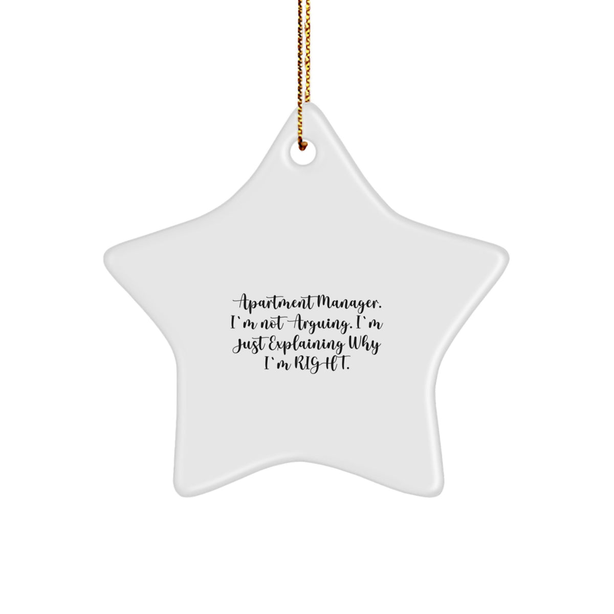 Apartment Manager Keepsake Humorous Christmas Ornament for Him Gift - Image 1