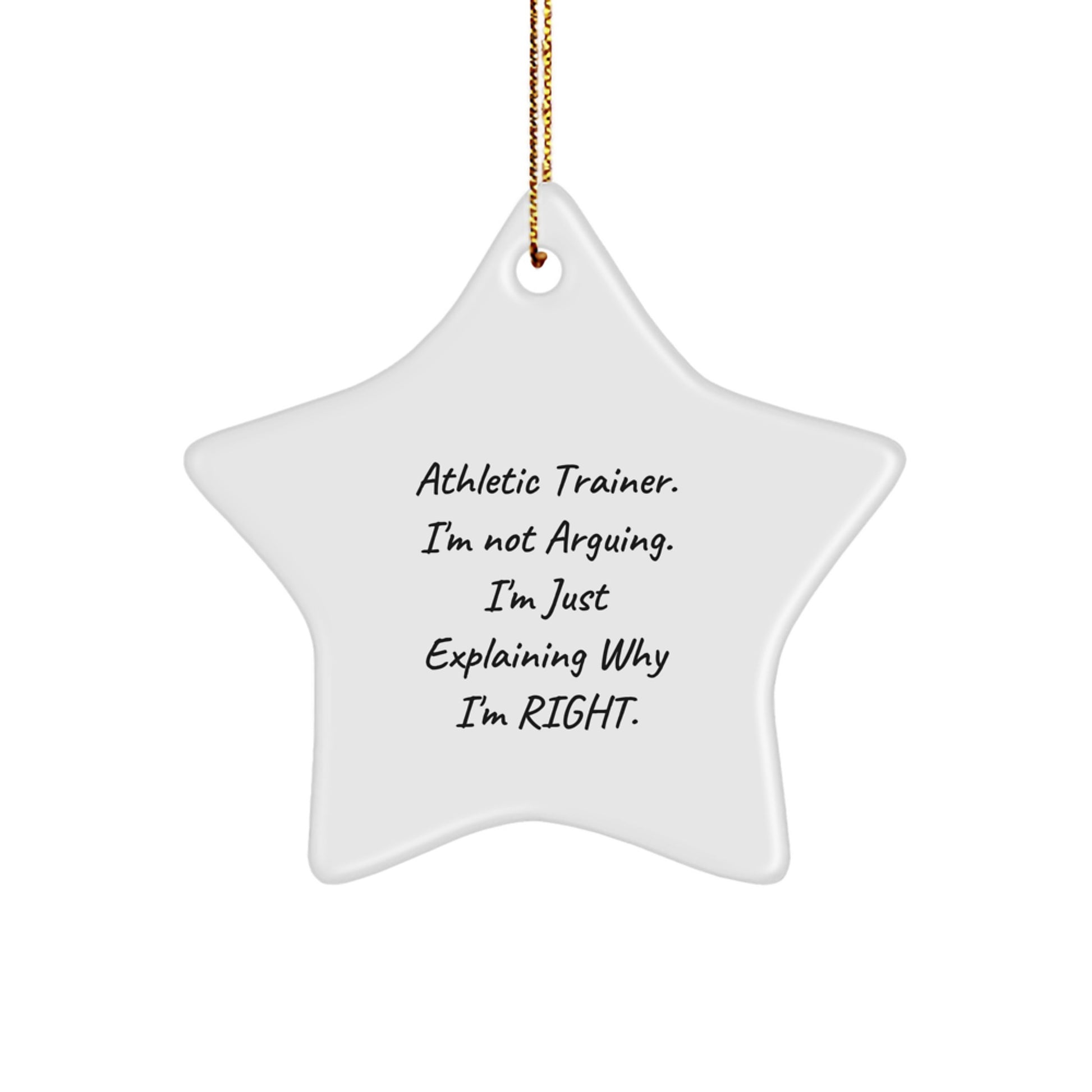 Gifts from Friends and Family for the Awesome Athletic Trainer - Funny Star Ornament for Christmas Unique Gifts - Image 1