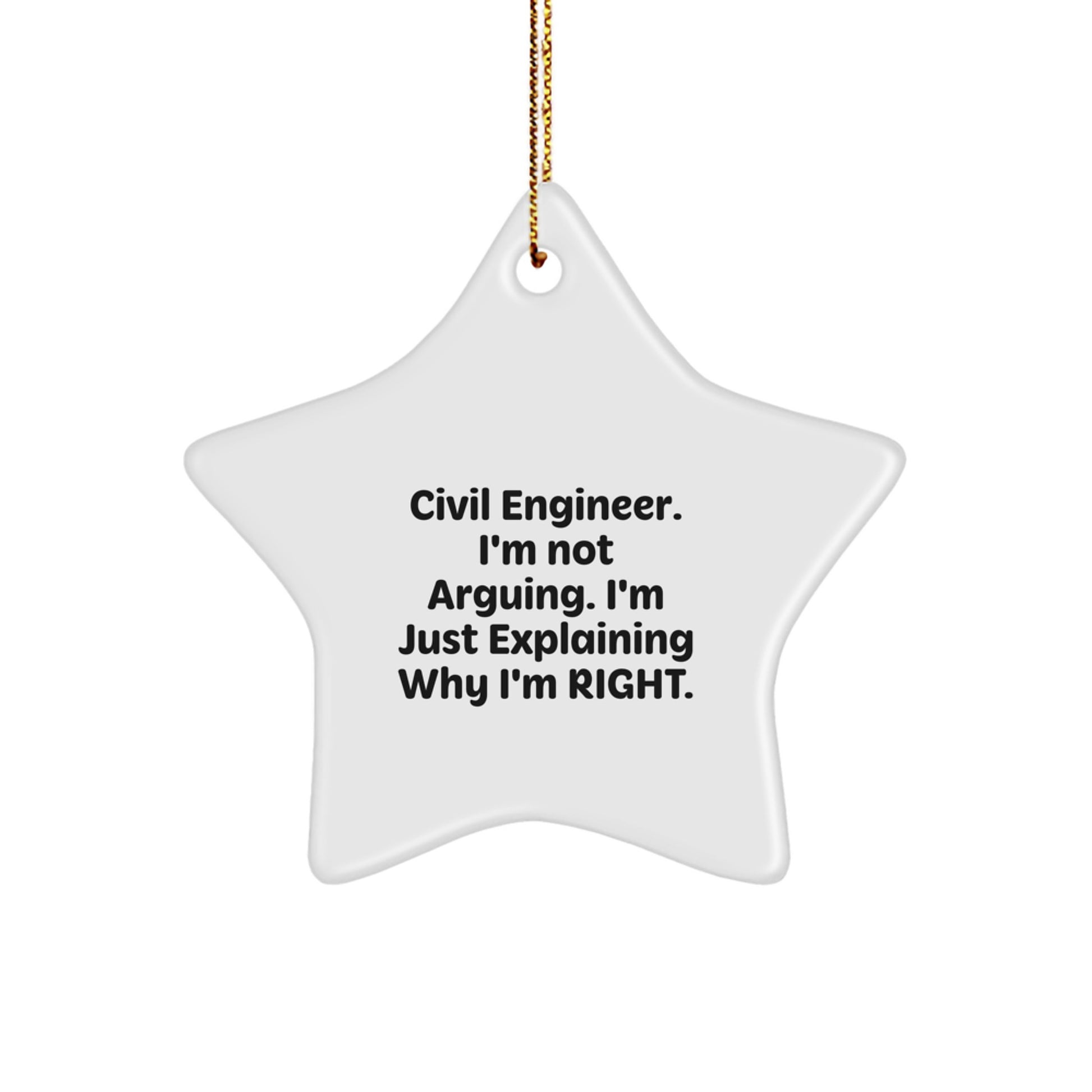 Civil Engineer Christmas Star Ornament - Funny Right Gift, For Men, Women, Coworkers, Family, Friends, Star Shaped Decor - 'I'm Not Arguing I'm Just Explaining Why I'm Right' Quote - Image 1