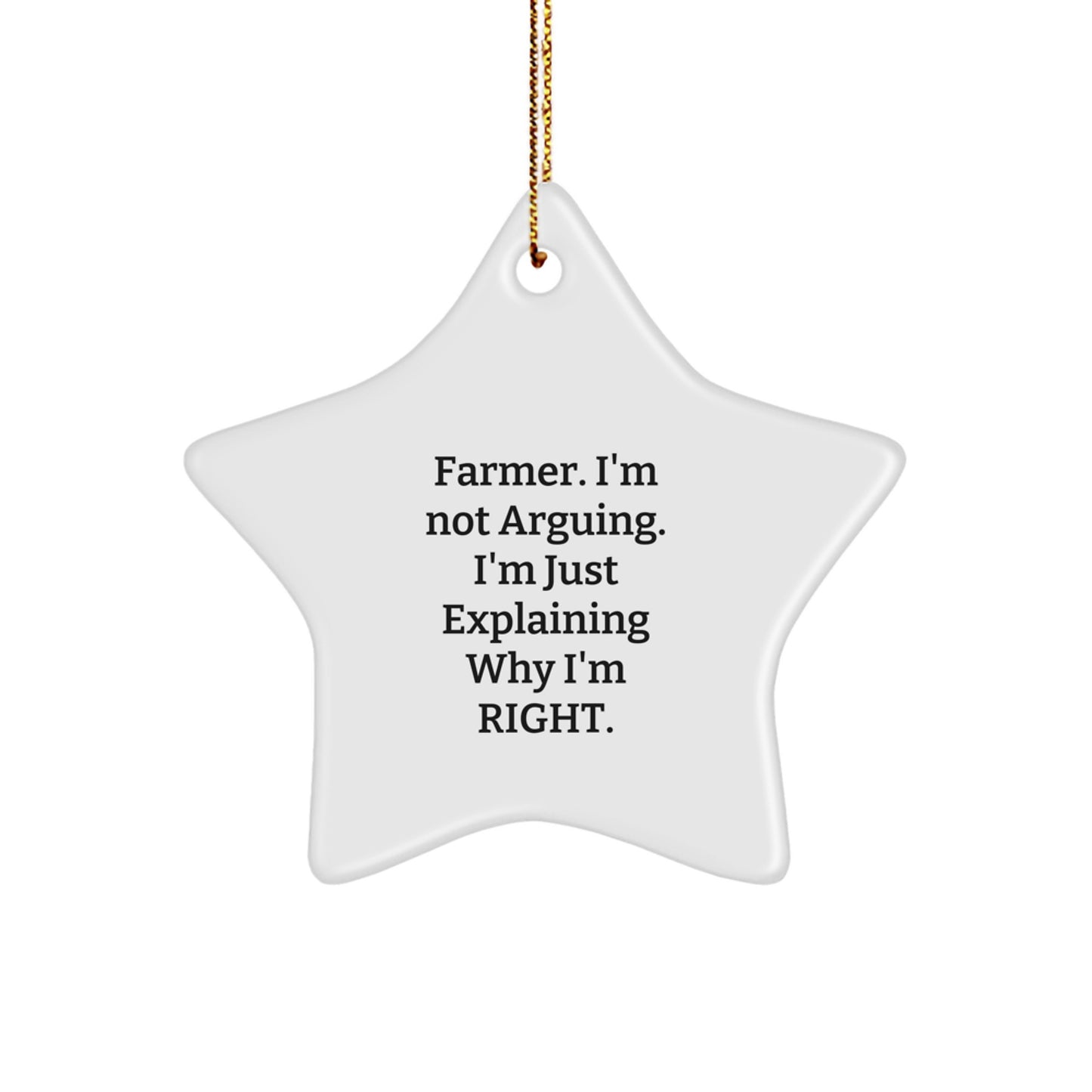 Funny Farmer Gifts from Friends for Men, 'I'm Not Arguing. I'm Just Explaining Why I'm Right.' Christmas Star Ornament - Image 1