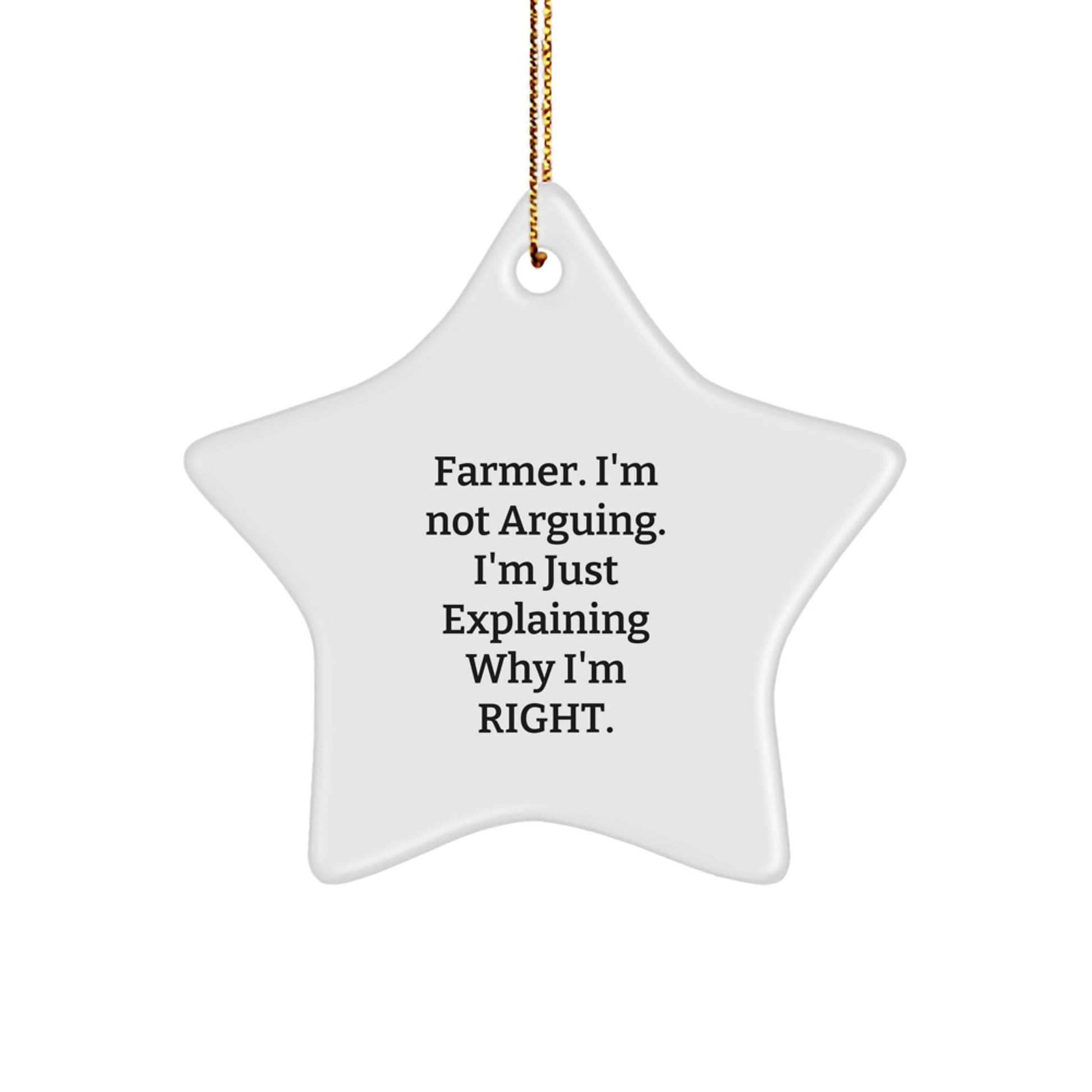 Funny Farmer Gifts from Friends for Men, 'I'm Not Arguing. I'm Just Explaining Why I'm Right.' Christmas Star Ornament - Image 1