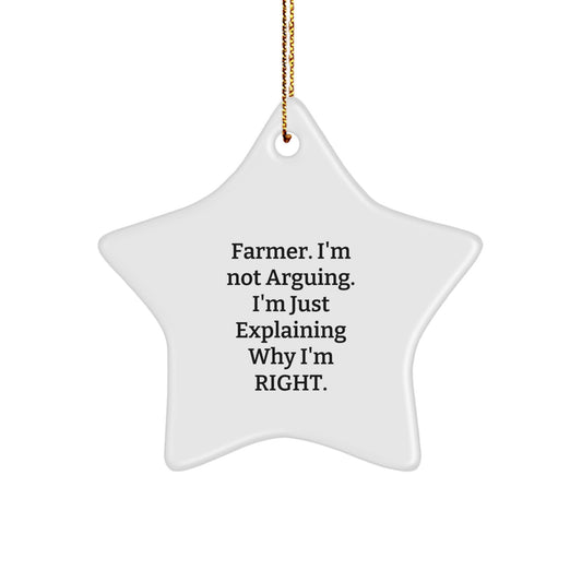 Funny Farmer Gifts from Friends for Men, 'I'm Not Arguing. I'm Just Explaining Why I'm Right.' Christmas Star Ornament - Image 1
