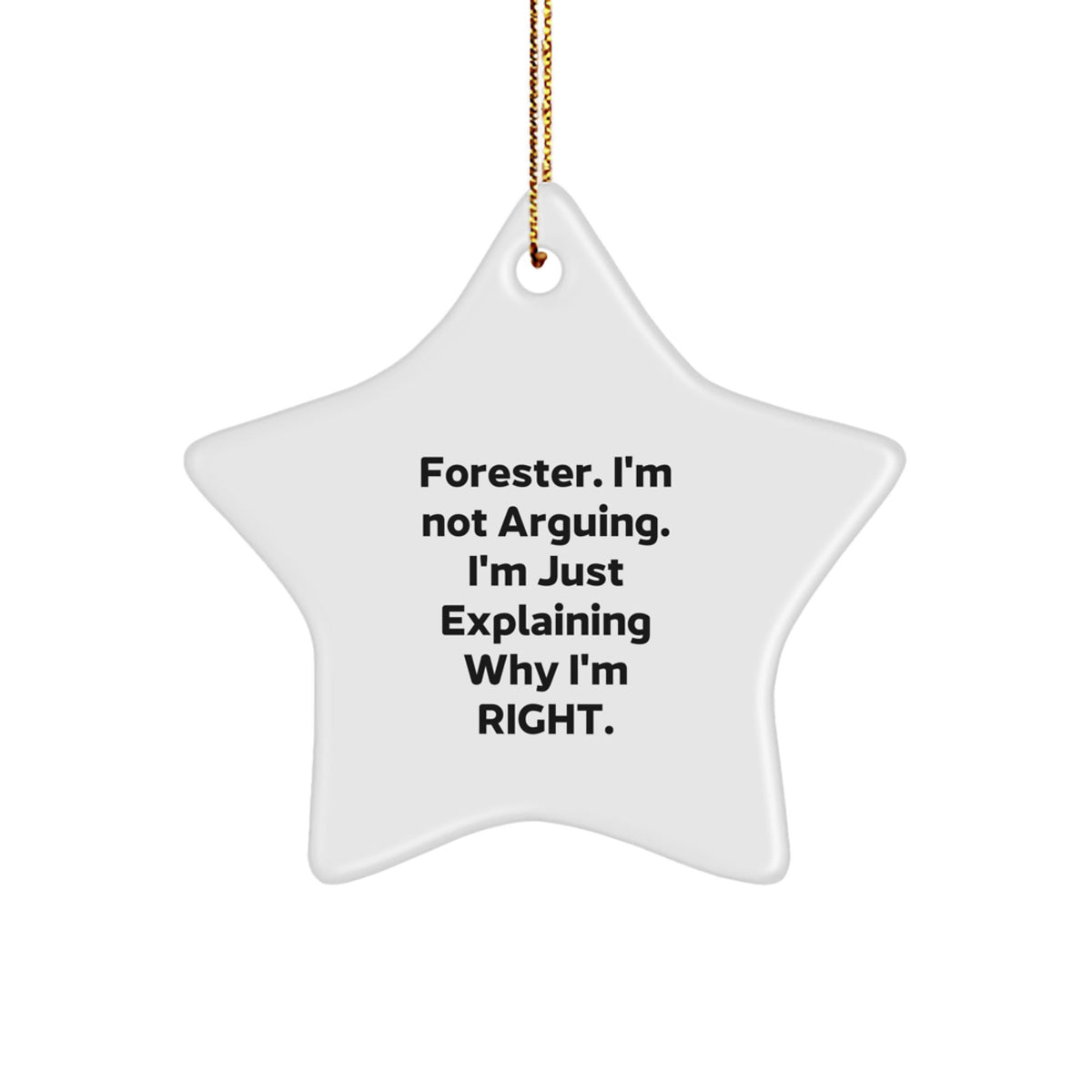 Funny Forester Gifts for Men, Star Ornament with 'I'm Not Arguing. I'm Just Explaining Why I'm Right.' Quote, Unique Christmas Unique Gifts from Friends to Family - Image 1