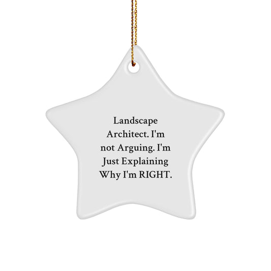 Funny Landscape Architect Star Ornament Gifts for Men from Friends, Christmas Unique Funny Gifts for Landscape Architect Men - Image 1