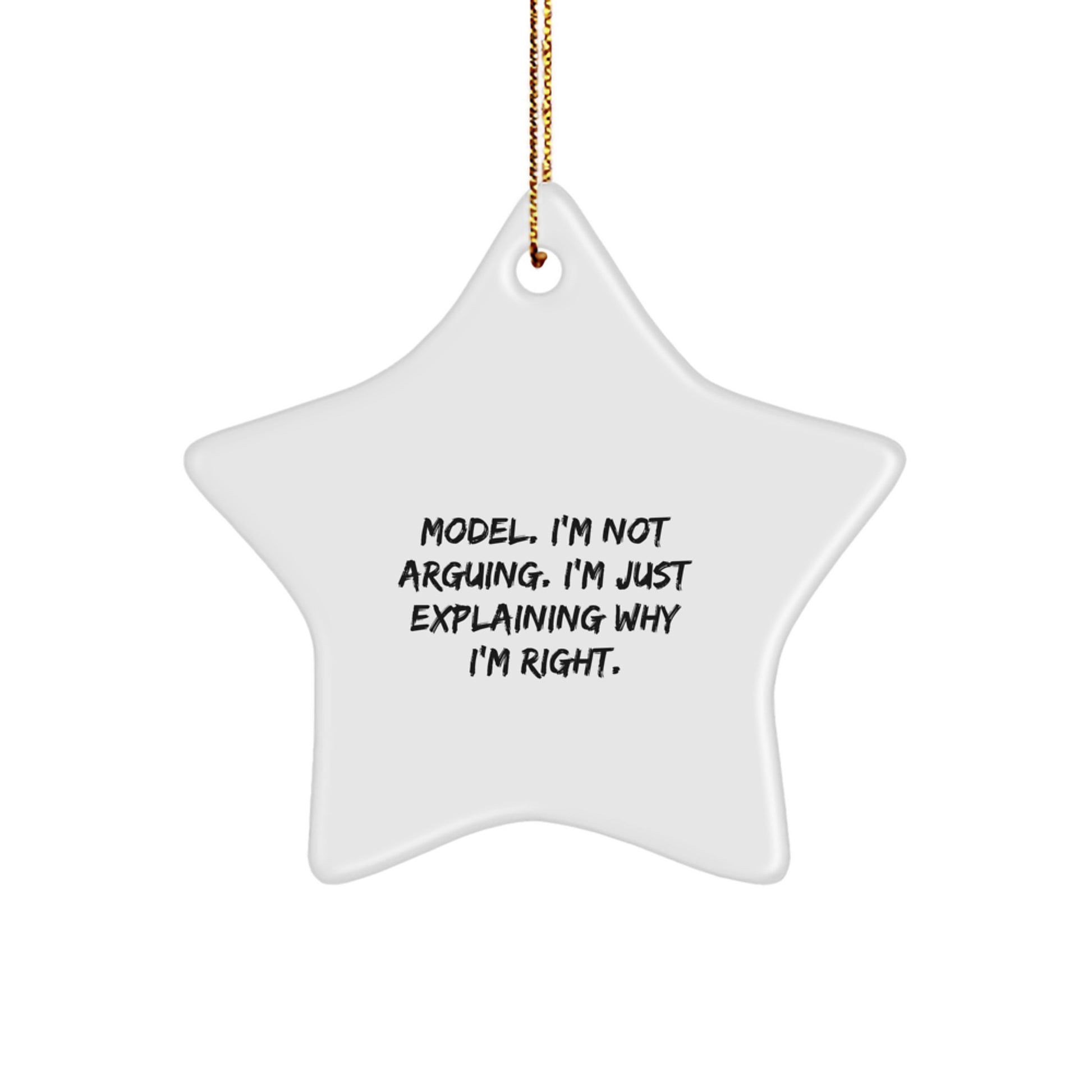 Funny Model Christmas Star Ornament Gifts from Friends, Family, Coworkers, or Men, Women with Humorous Quote - Unique Star Gift for Model Enthusiasts - Image 1