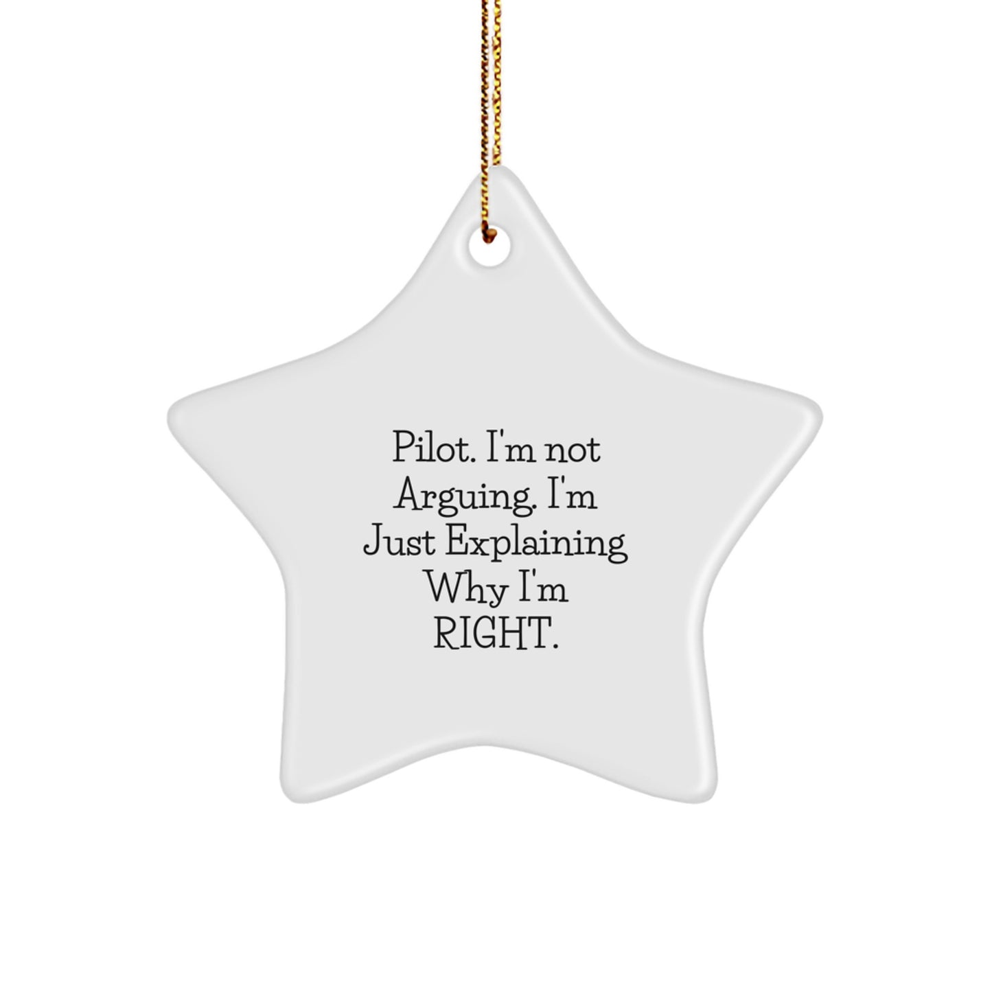 Pilot Star Christmas Ornament Idea Gift for Coworkers - Image 1