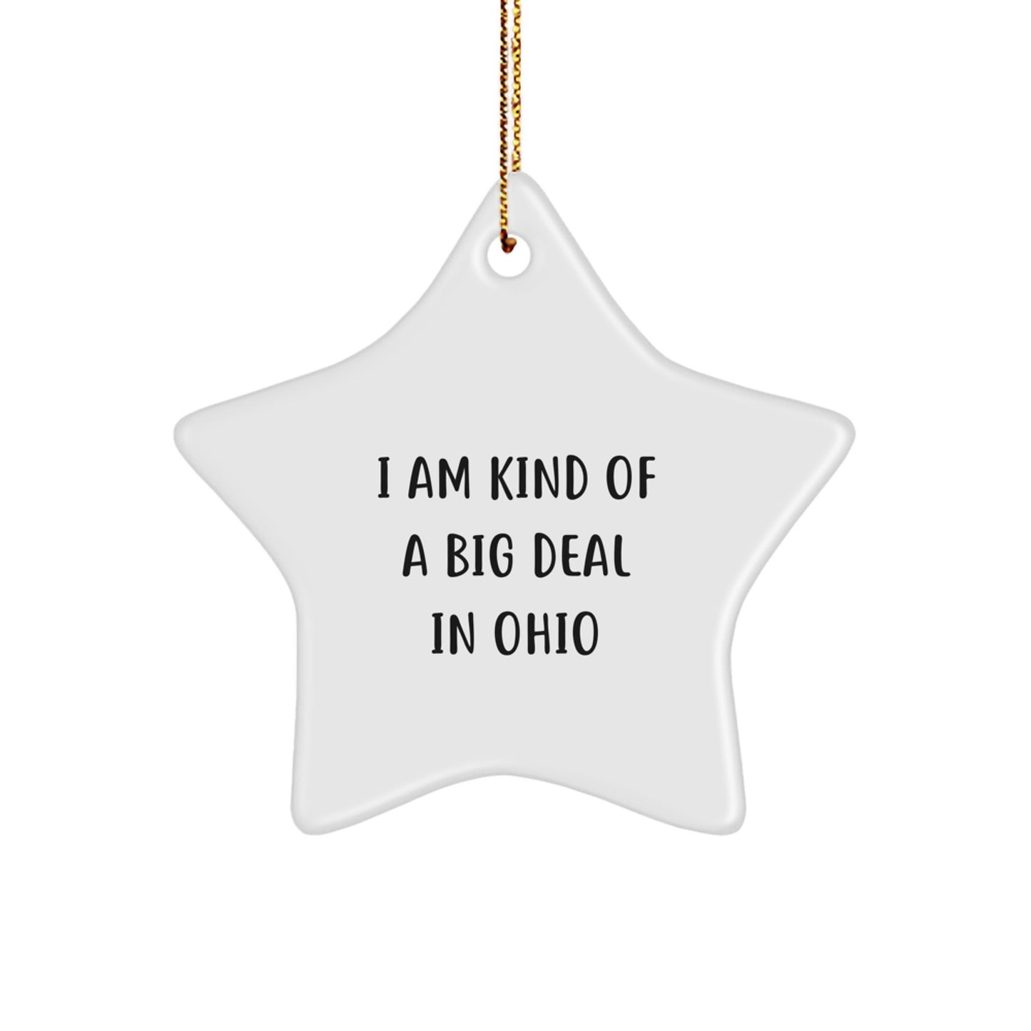 Ohio Christmas Unique Gifts for Men from I Am Kind Of A Prime Selection In Ohio Star Ornament - Image 1