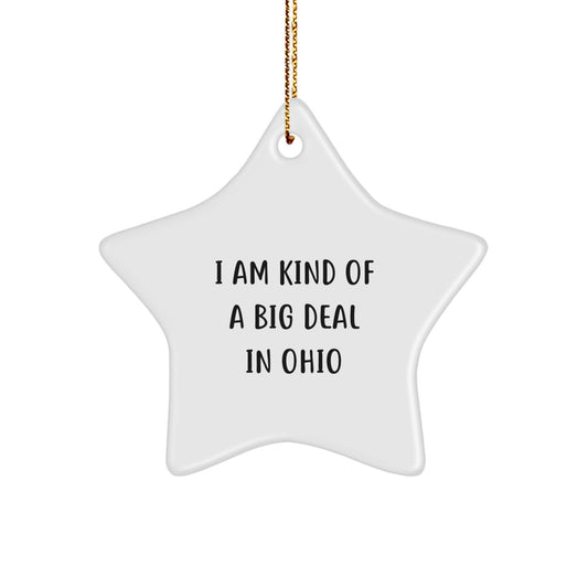Ohio Christmas Unique Gifts for Men from I Am Kind Of A Prime Selection In Ohio Star Ornament - Image 1